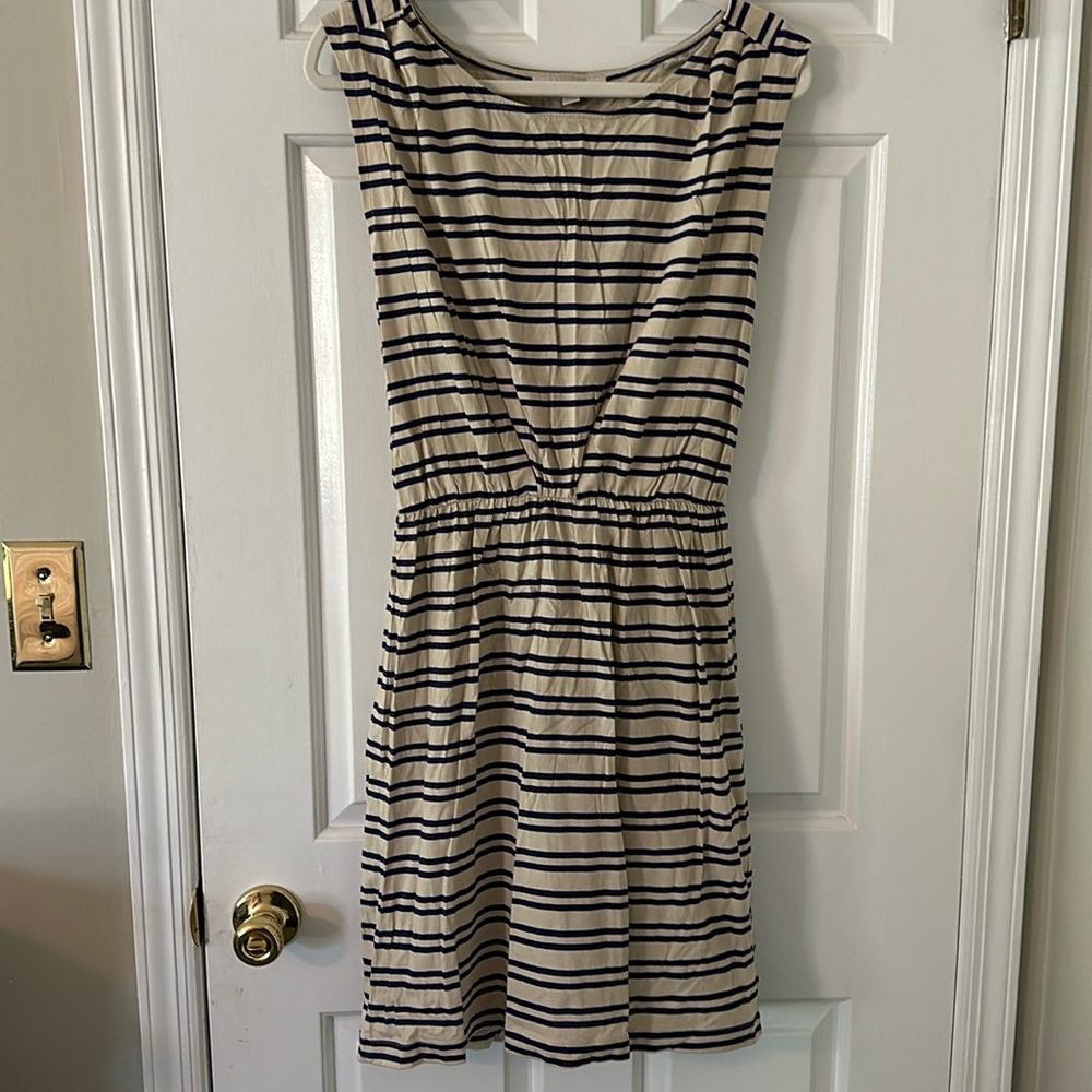 Loft knee length dress